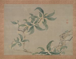 Blossom, 1851 (akvarel på silke)